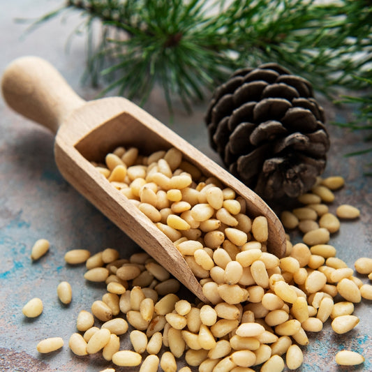 Black Pine Nuts