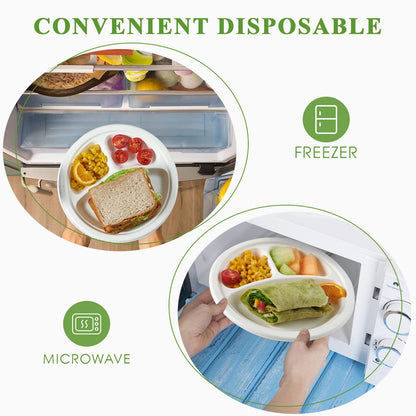 3 Compartment Disposable Plates