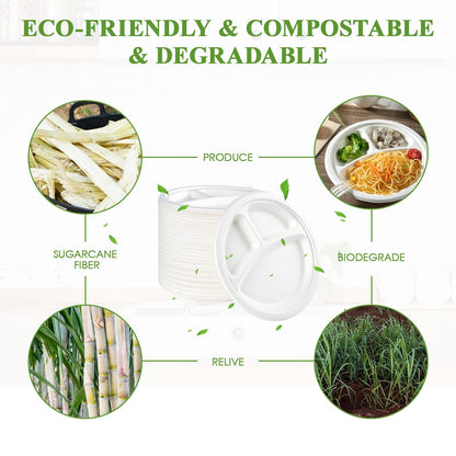 3 Compartment Disposable Plates